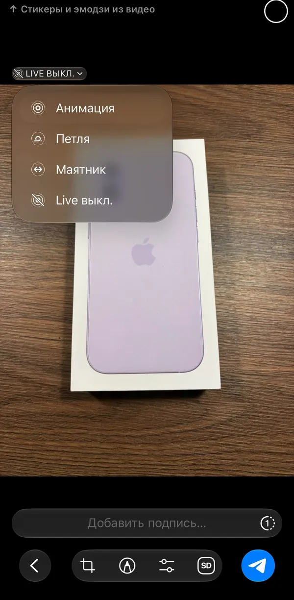 Окно отправки Live Photo в Telegram на iPhone: меню «Анимация, Петля, Маятник, Live выкл.»